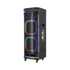 רמקול, בידורית/ערכת קריוקי אלחוטית 10X2״ - RGB - Bluetooth - דגם: MIRACASE - 99317-070-01- MKS70