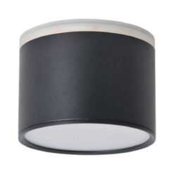 צלינדר עם טבעת הארה עליונה | שחור | OMEGA | LOOP-10W2W-CCT-BK | CCT-3 | 10W+2W | LOOP